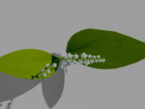Detailed Lily of the Valley Flower 3D Vegetation 3D Model
