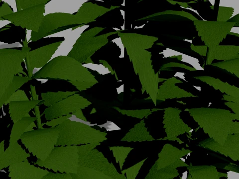 Mint Plant 3D Vegetation 3D Model