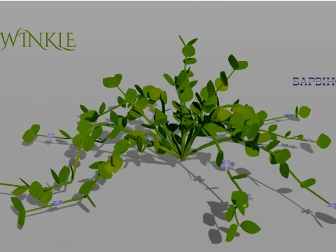 Detailed Periwinkle Flower 3D Vegetation 3D Модель