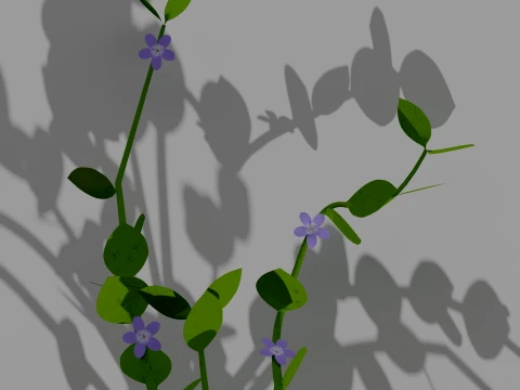 Detailed Periwinkle Flower 3D Vegetation 3D Model