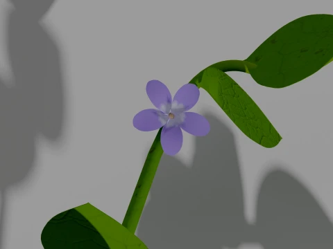 Detailed Periwinkle Flower 3D Vegetation 3D Model