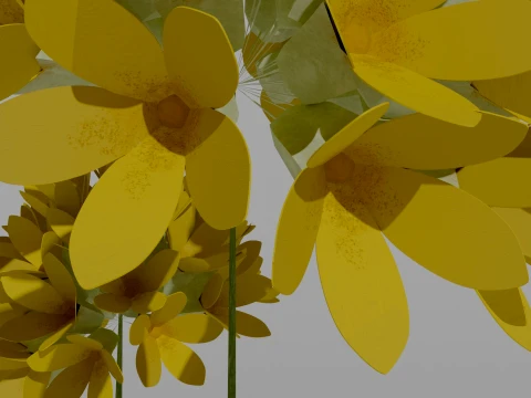 Detailed Primrose Flower 3D Vegetation 3D Model