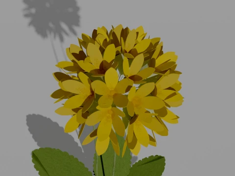 Detailed Primrose Flower 3D Vegetation 3D Model