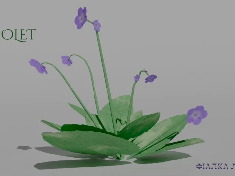 Detailed Violet Flower 3D Vegetation 3D Model