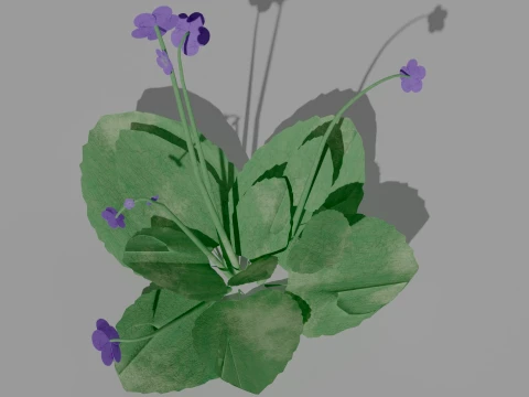 Detailed Violet Flower 3D Vegetation 3D Model