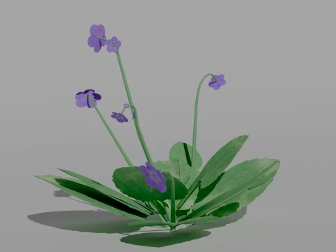 Detailed Violet Flower 3D Vegetation 3D Model