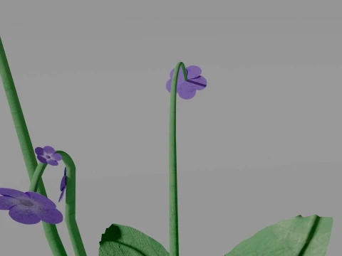 Detailed Violet Flower 3D Vegetation 3D Model