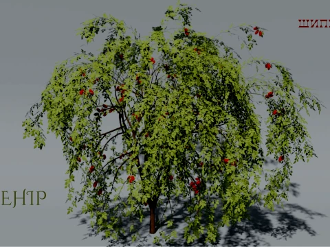 Realistic Rosehip Bush 3D Vegetation 3D Model