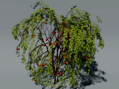 Realistic Rosehip Bush 3D Vegetation 3D Model