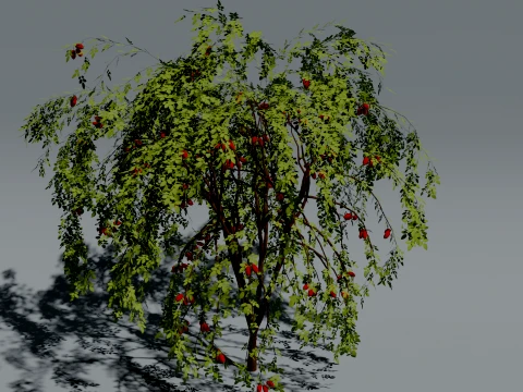 Realistic Rosehip Bush 3D Vegetation 3D Model