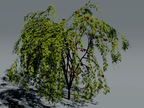 Realistic Rosehip Bush 3D Vegetation 3D Model