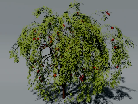 Realistic Rosehip Bush 3D Vegetation 3D Model