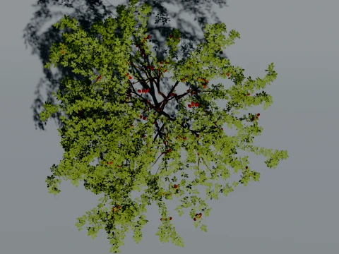 Realistic Rosehip Bush 3D Vegetation 3D Model