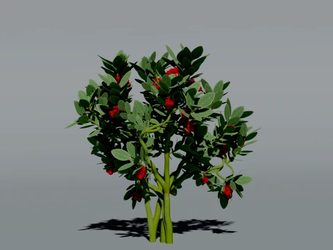 Realistic Cranberry Plant 3D Vegetation 3D Model