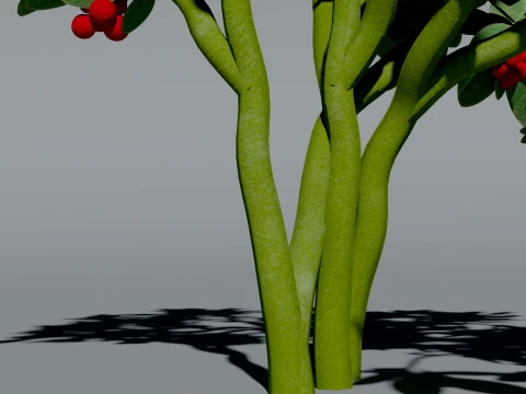 Realistic Cranberry Plant 3D Vegetation 3D Model