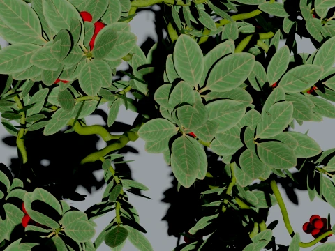 Realistic Cranberry Plant 3D Vegetation 3D Model