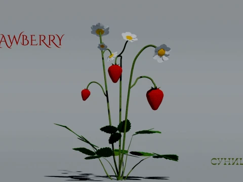 Realistic Strawberry Plant 3D Vegetation 3D Model