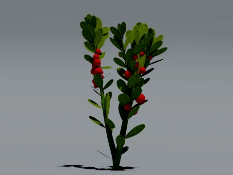 Realistic Lingonberry Plant 3D Vegetation 3D Model