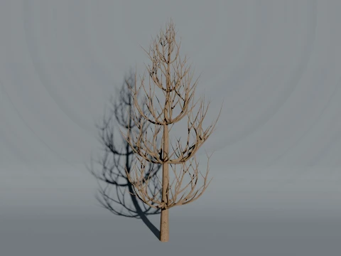 Realistic Arborvitae Thuja Tree 3D Vegetation 3D Model