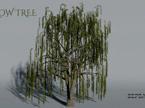 Realistic Willow Tree 3D Vegetation 3D 模型