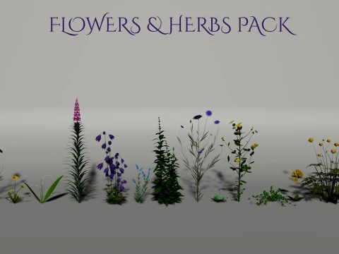 Realistic Wild Flowers Herbs Collection 14 3D Plants 3D Model