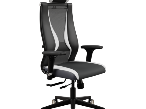Office chair Ergolife 3D Model