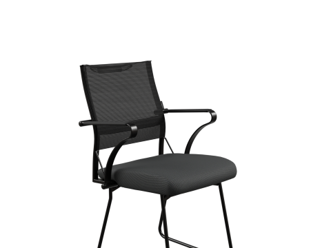Office chair Ergolife 3D Model