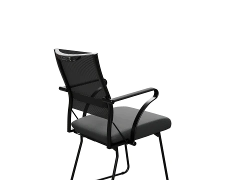 Office chair Ergolife 3D Model