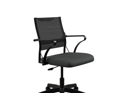Office chair Ergolife 3D Model
