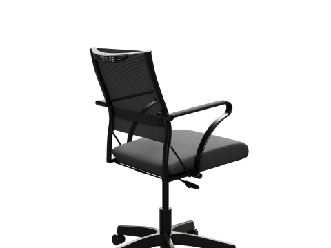 Office chair Ergolife 3D Model