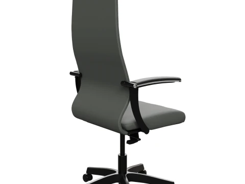Office chair Ergolife 3D Model