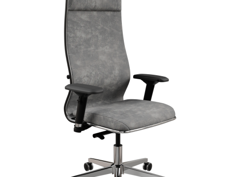 Office chair Ergolife 3D Model