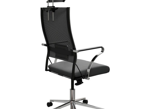 Office chair Ergolife 3D Model