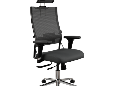 Office chair Ergolife 3D Model