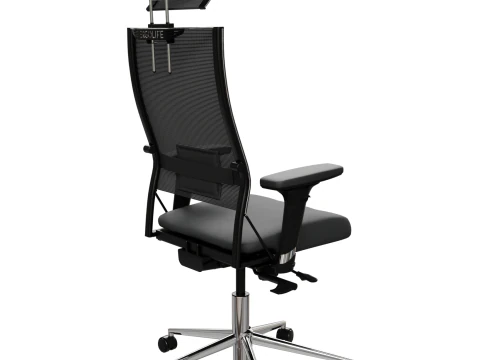 Office chair Ergolife 3D Model