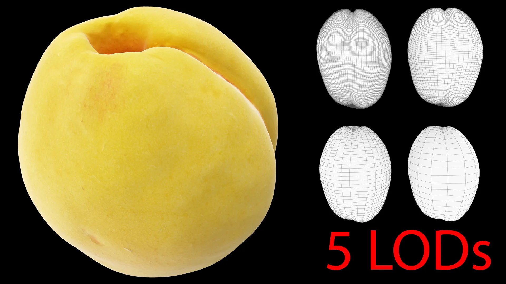 Apricot 01 with 5 LODs PBR 3D Model .c4d .max .obj .3ds .fbx .stl .blend 