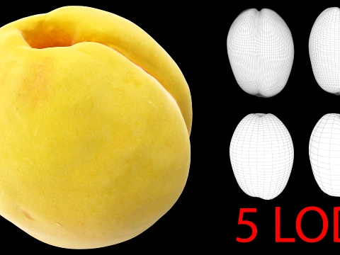 Apricot 01 with 5 LODs PBR 3D Model