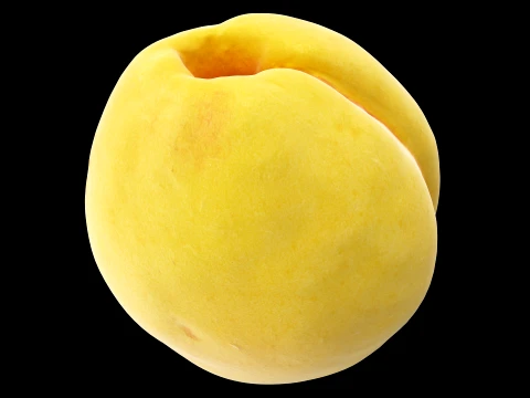 Apricot 01 with 5 LODs PBR 3D Model