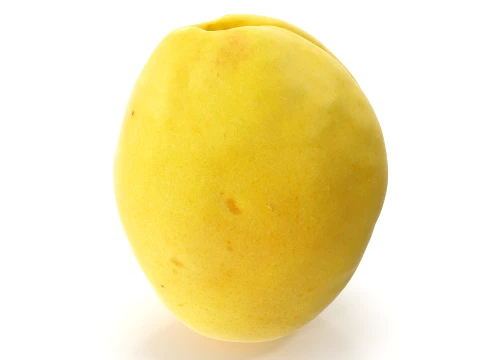 Apricot 01 with 5 LODs PBR 3D Model