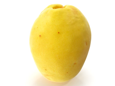 Apricot 01 with 5 LODs PBR 3D Model