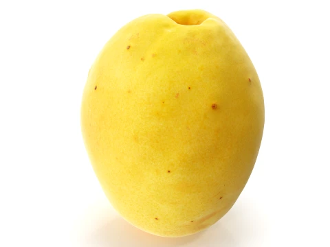 Apricot 01 with 5 LODs PBR 3D Model