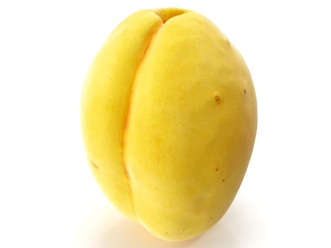 Apricot 01 with 5 LODs PBR 3D Model