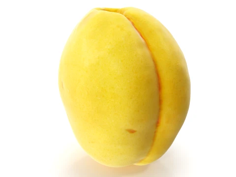 Apricot 01 with 5 LODs PBR 3D Model