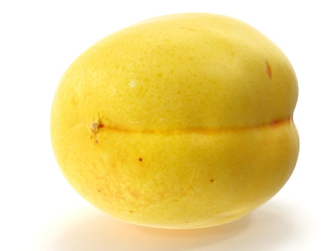 Apricot 01 with 5 LODs PBR 3D Model