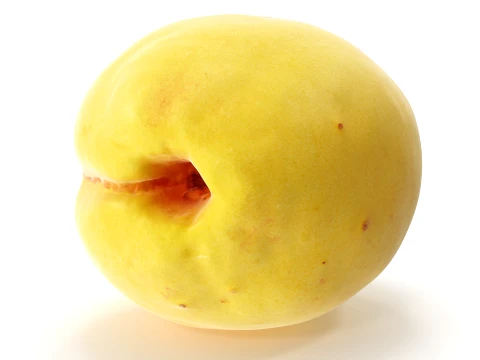 Apricot 01 with 5 LODs PBR 3D Model