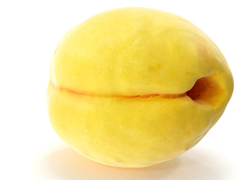 Apricot 01 with 5 LODs PBR 3D Model