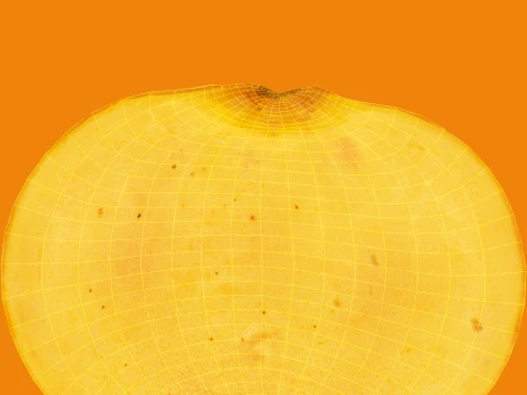 Apricot 01 with 5 LODs PBR 3D Model