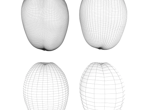 Apricot 01 with 5 LODs PBR 3D Model