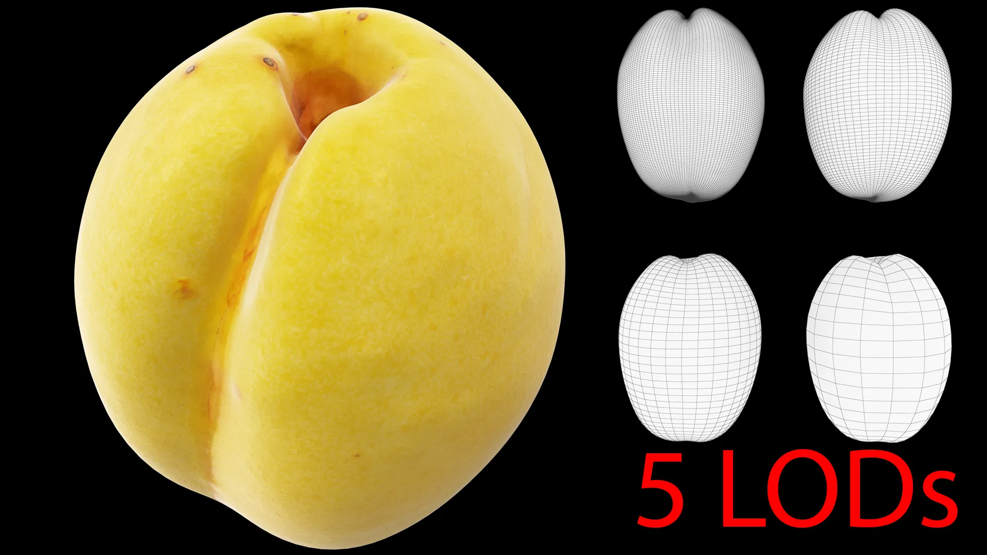 Apricot 02 with 5 LODs PBR 3D Model .c4d .max .obj .3ds .fbx .stl .blend 