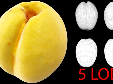 Apricot 02 with 5 LODs PBR 3D Model